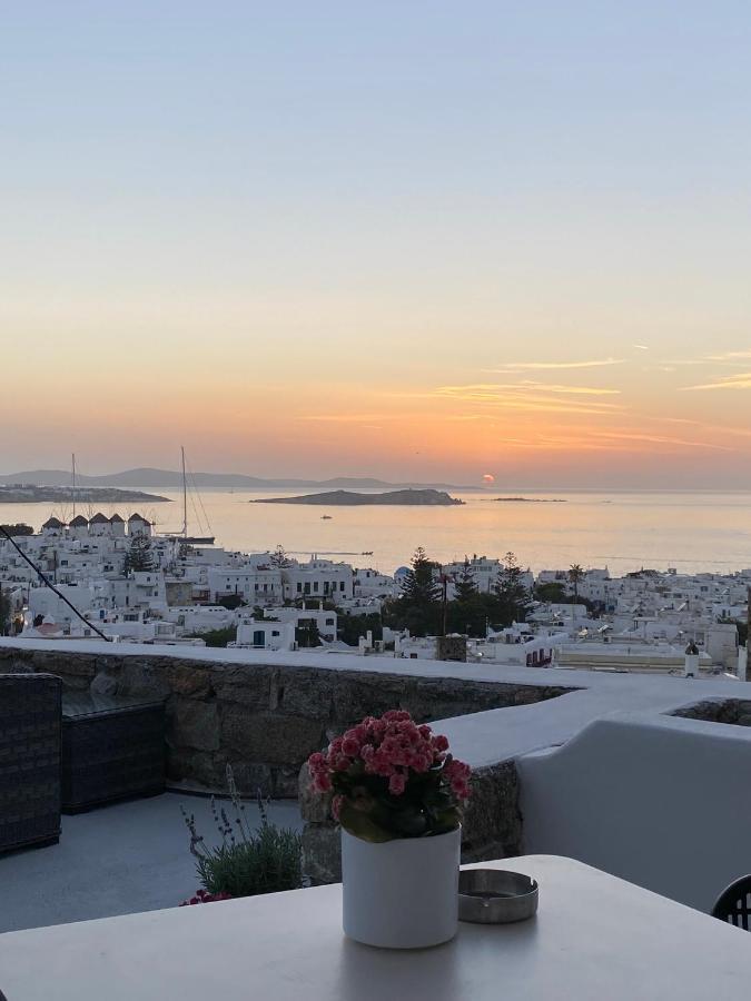 The View Of Mykonos Apartment Mykonos Town Екстериор снимка