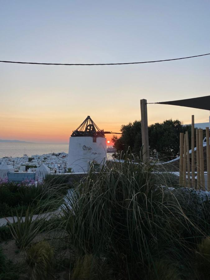 The View Of Mykonos Apartment Mykonos Town Екстериор снимка