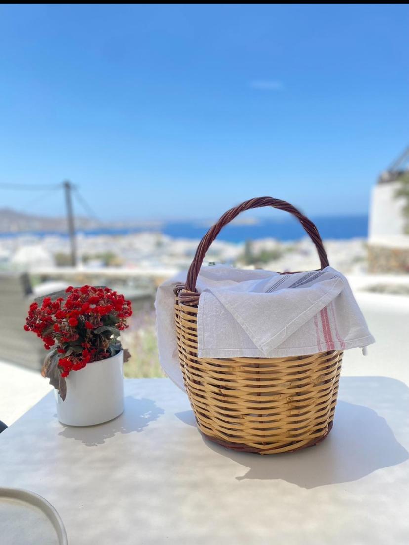 The View Of Mykonos Apartment Mykonos Town Екстериор снимка